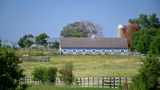 istock Farm with blue barns and a silo on a sunny day 1437875052