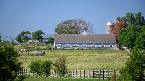 A farm with blue barns and a silo on a sunny day