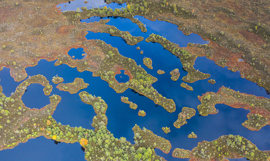 Aerial view over peat-bog landscape with the complex lake and  pool ridge patterns. in W-Estonia, Europe. Peatlands are important carbon deposits