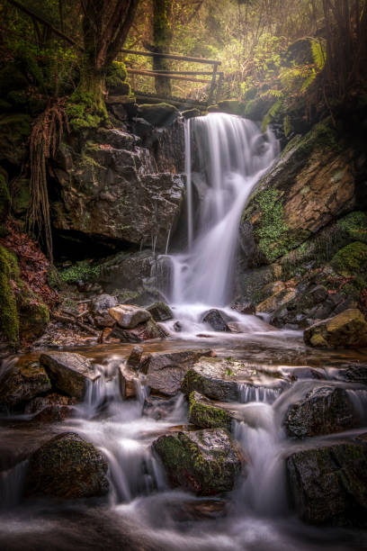 beatifull light over the falls Morning light rays on the falls.
Shoted in Cabreia Waterfall, Portugal beatifull stock pictures, royalty-free photos & images