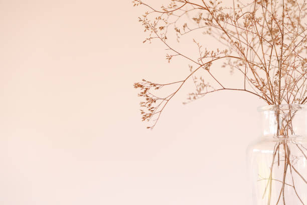istock Clear glass bottle with delicate dried foliage with basic cream background 1437875932
