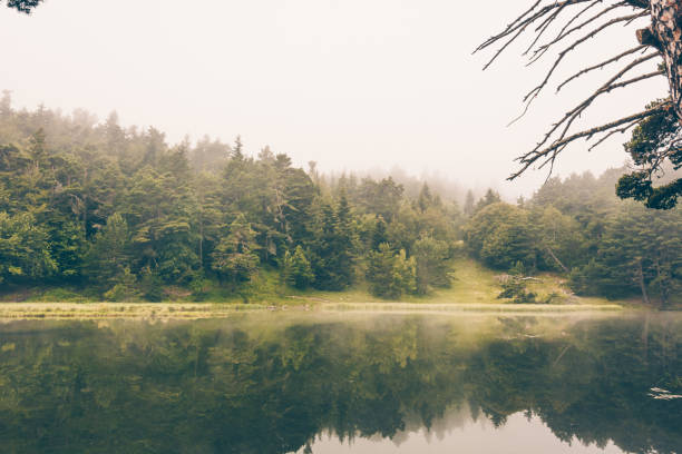 istock Panoramic shot of a mountain landscape and partially covered with mist 1437876424