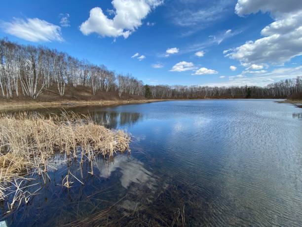 istock Aerial view of lake surrounded by trees under blue bright sky 1437876649