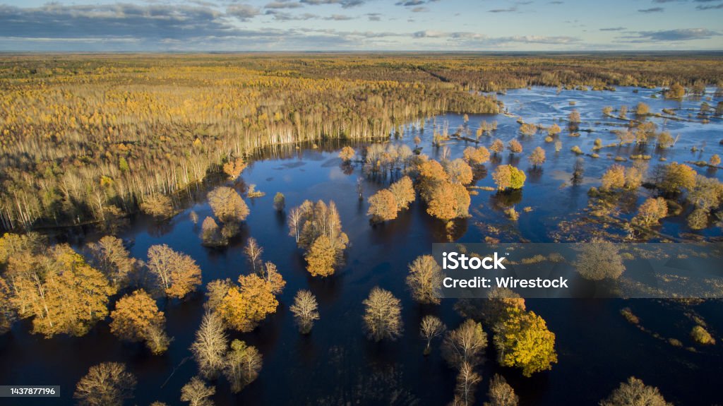 Autumn colored woodlands and floodpalin Aerial view over flooded meadow and  autumn-colored trees and river bends in the Soomaa national park, Parnu county, Estonia Accidents and Disasters Stock Photo
