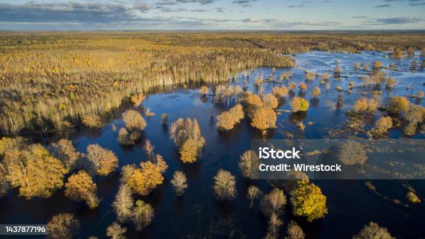 Autumn Colored Woodlands And Floodpalin Stock Photo - Download Image Now - Accidents and Disasters, Aerial View, Autumn