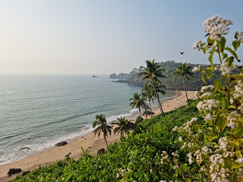 An aerial view of a beautiful beach with a blue ocean and tropical vegetation on a sunny day