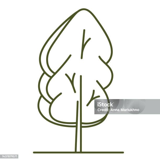 Tree Drawing Entorage Tree For Architectural Plans Entourage Design Stock Illustration ...
