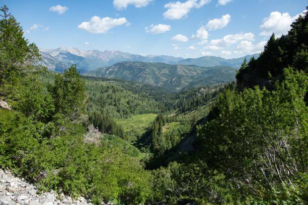 istock Panoramic view of a valley with beautiful trees and mountains in the background 1437881284