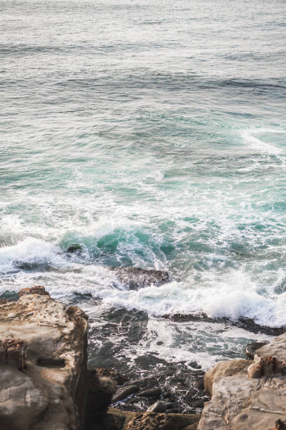 istock Vertical shot of the sea 1437881298