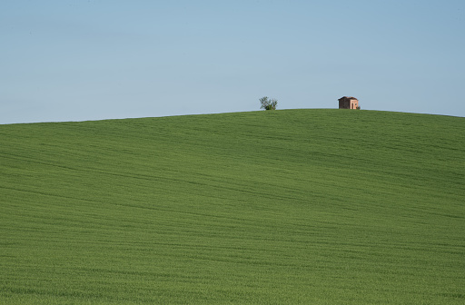 Hills of Monferrato