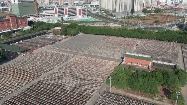 Soy sauce factory, outdoor bean drying farm