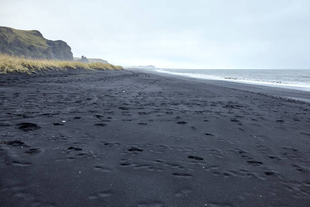 istock Black Sand Beach Vik in South Iceland 1437882208