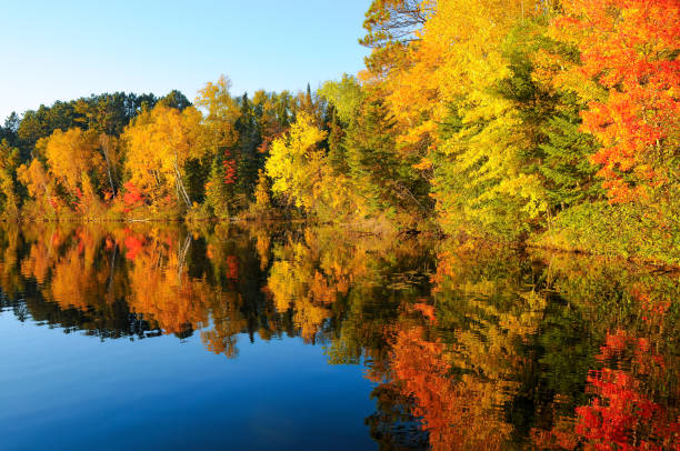 Autumn reflection stock photo
