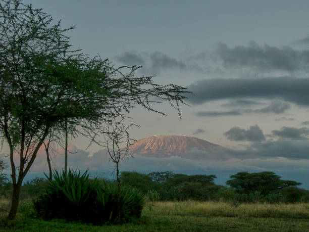 istock View on Mount Kilimanjaro with clouds cover 1437883303