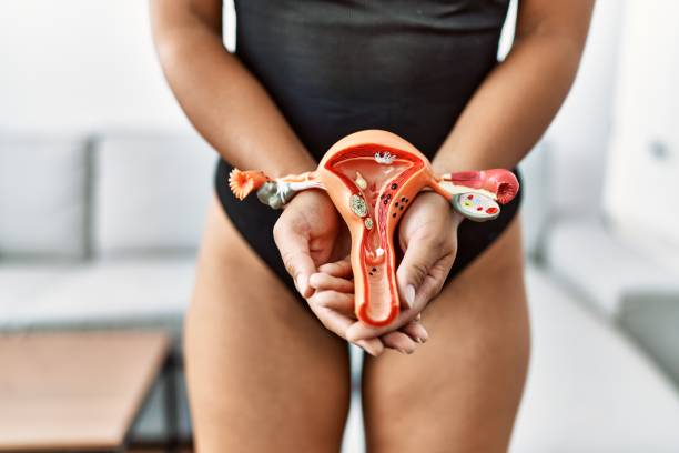 Young african american woman holding anatomical model of fallopian tube at home Young african american woman holding anatomical model of fallopian tube at home fallopian tube stock pictures, royalty-free photos & images