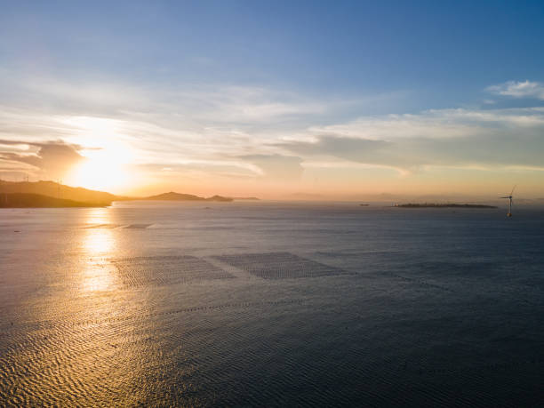 istock Marine farms and offshore wind power at sunset 1437887659