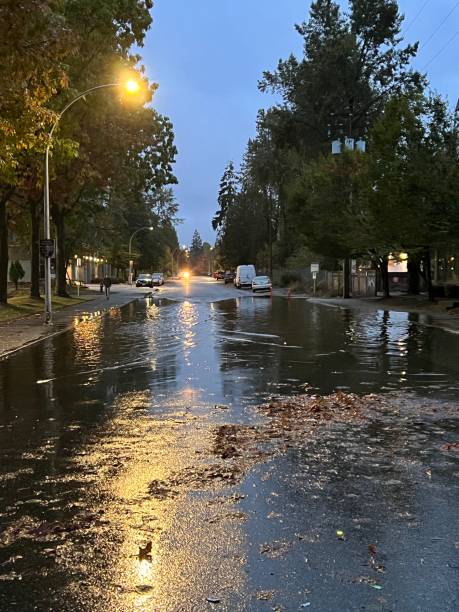 istock City Street Flooding 1437887678