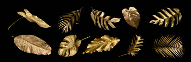 istock Tropical leaves gold and black, can be used as background(Monstera,palm,coconut)fernclipping path 1437894953