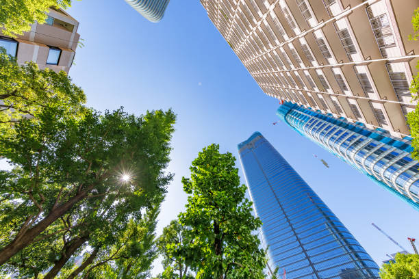 istock Tokyo cityscape with beautiful morning light 1437901115