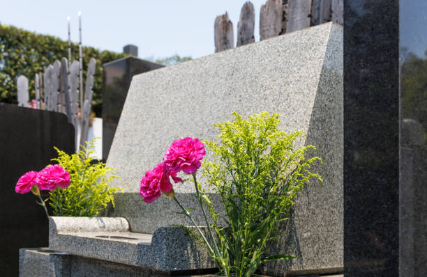 istock A beautiful flower prepared for the grave to visit 1437901786