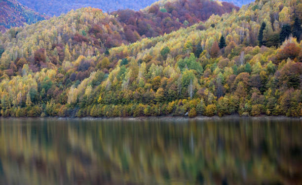 istock Autumn landscape, birch forest reflection in lake 1437903196