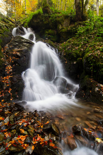 istock Waterfall flowing through rocks in a deep forest, autumn landscape 1437903225