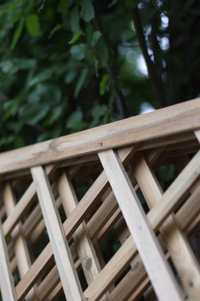 istock In the garden 1437904672