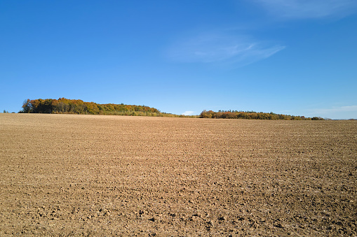 Potato field prepared for the new harvest coming autumn