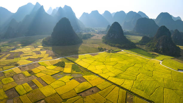 istock Landscape and pastoral scenery 1437911398