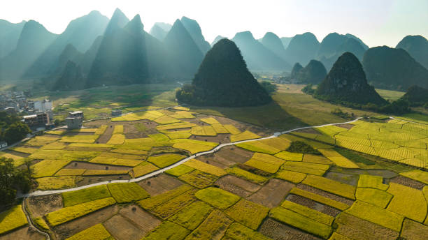 istock Landscape and pastoral scenery 1437911403
