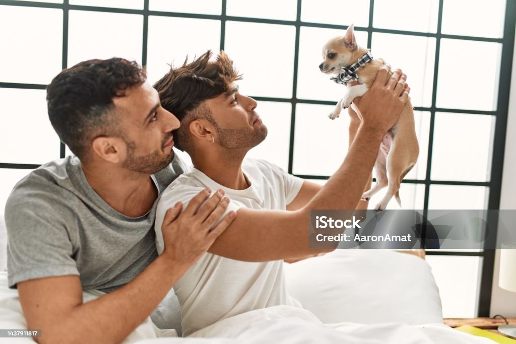 Dos Parejas De Hombres Hispanos Abrazándose Sentados En La Cama Con  Chihuahua En El Dormitorio Foto de stock y más banco de imágenes de Mascota  - iStock