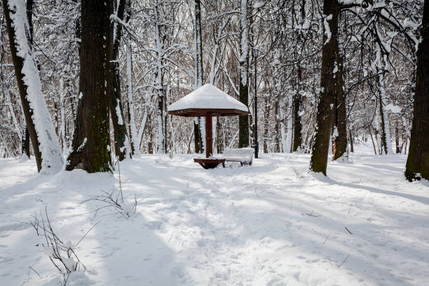 Snow comprises individual ice crystals that grow while suspended in the atmosphere—usually within clouds—and then fall, accumulating on the ground where they undergo further changes