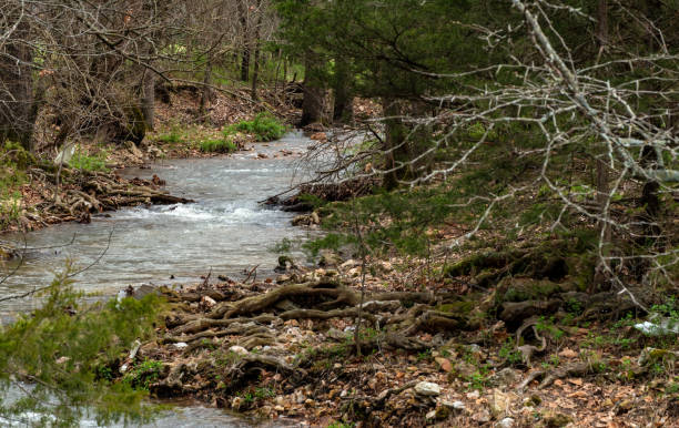 istock Small meandering creek in Missouri 1437920934