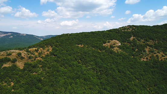 Amazing endless landscape of the high mountain ranges covered by green trees and shrubs against the blue cloudy sky in summer day. Beautiful mountain scenery