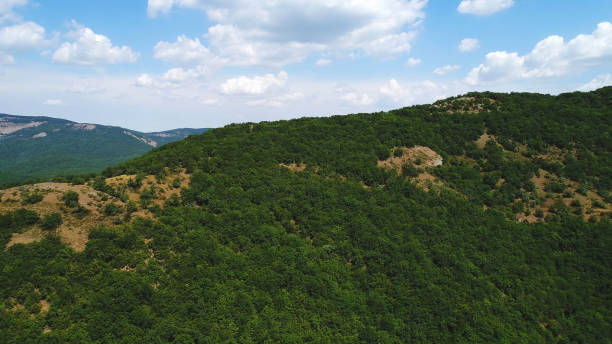 Amazing endless landscape of the high mountain ranges covered by green trees and shrubs against the blue cloudy sky in summer day. Shot. Beautiful mountain scenery Amazing endless landscape of the high mountain ranges covered by green trees and shrubs against the blue cloudy sky in summer day. Beautiful mountain scenery ridgeway stock pictures, royalty-free photos & images