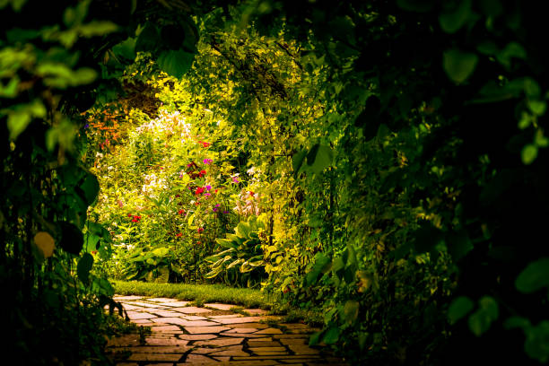 Image of plants tunnel. Shooting Location: Hokkaido Furano
