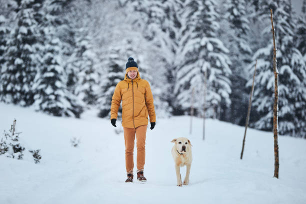 Man with dog in nature during winter day stock photo