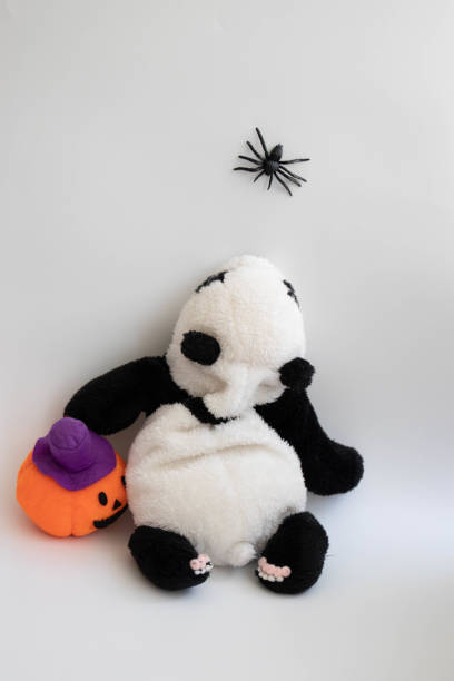 istock Halloween Decoration on white background 1437927274