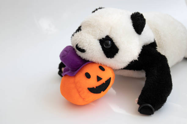 istock Halloween Decoration on white background 1437927282
