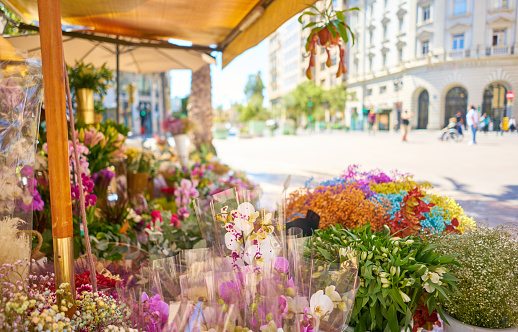 A closeup of colorful flower bouquets in containers at an outdoor shop under the sunlight