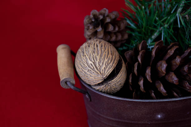 Christmas Ornament on Red Background, Green Fir, pine cone , red ribbon