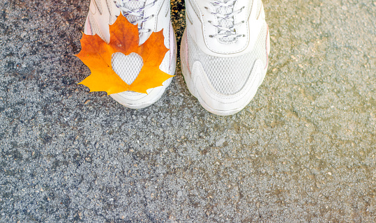 maple autumn golden yellow leaf with heart shape in middle.sunlight sunshine sun.leaf on asphalt woman legs feet sneakers white,tree trunk.lot of leaves foliage on ground