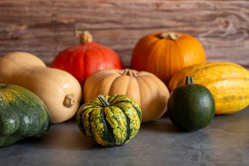 Different varieties of edible pumpkins