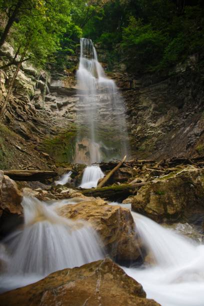 istock Vertical shot of a beautiful waterfall in the forest. 1437930215