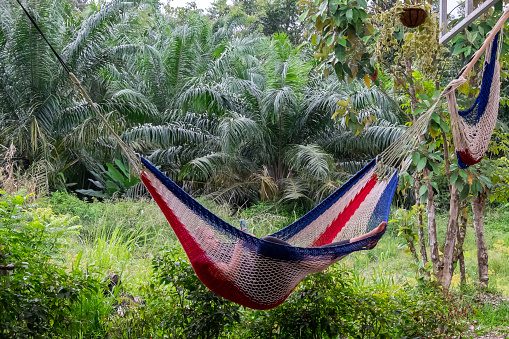 Puntarenas, Costa Rica - September 07, 2022: Young woman reading lying in a hammock