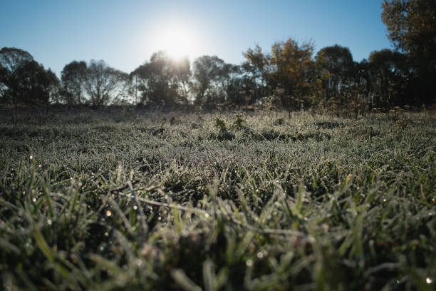 istock Frosty October morning landscape, selective focus. 1437939515