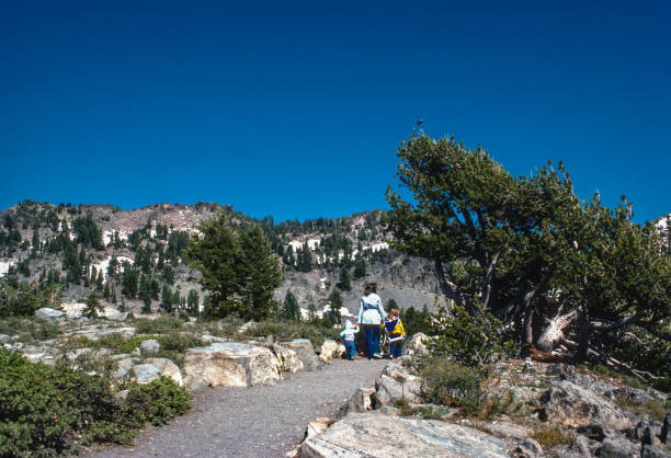 istock Lassen Volcanic NP - Starting Down the Trail - 1983 1437941190