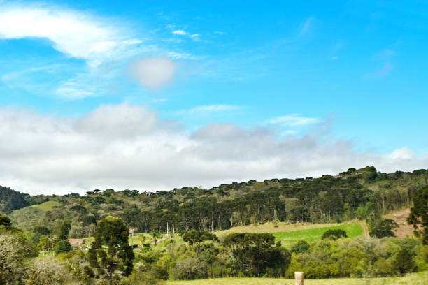 istock country landscape 1437943147