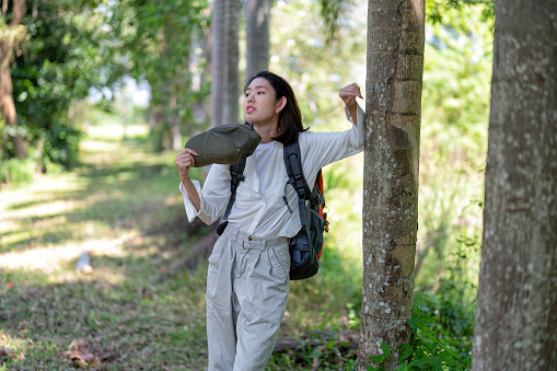 Young backpack hiking woman walking in the greenery forest rest under the tree
