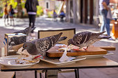 Pigeons raiding a abandoned café table